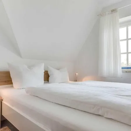Daire Og Hinten Id 185 *